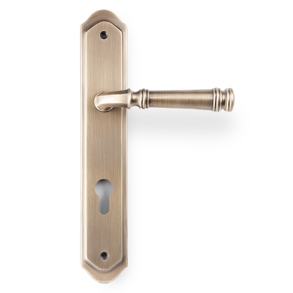 Product picture of the Tuscany Lever on Traditional Euro Plate in Antique Brass on a white background.