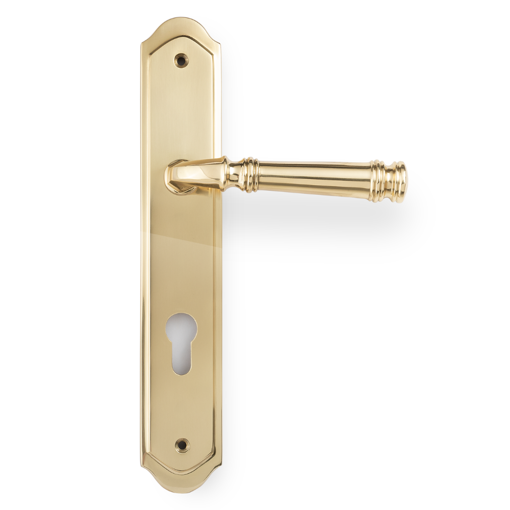Product picture of the Tuscany Lever on Traditional Euro Plate in Polished Brass on a white background.